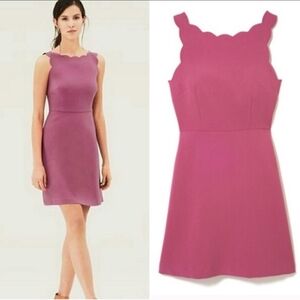 Ann Taylor Loft scalloped pink sleeveless dress